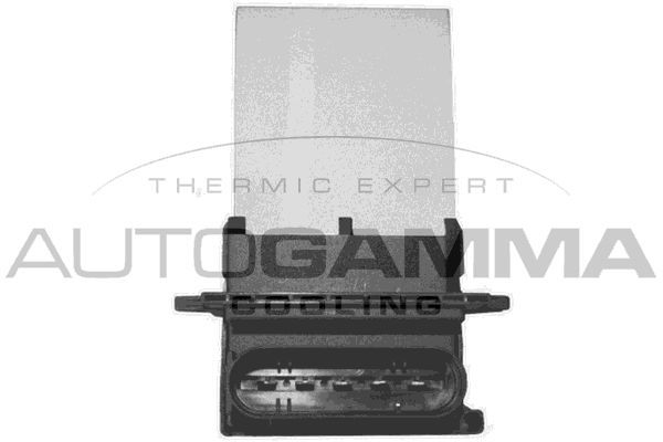 Varža, vidaus pūtiklis AUTOGAMMA GA15538