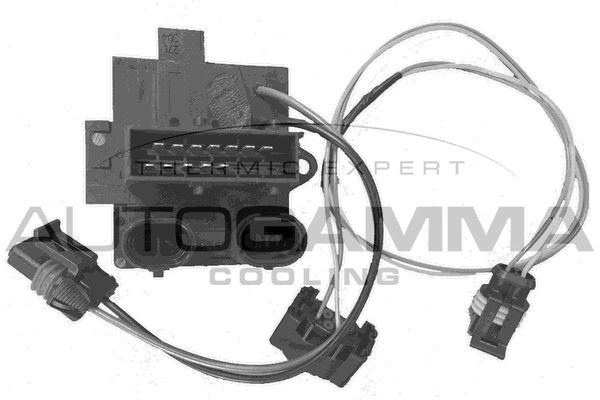 Varža, vidaus pūtiklis AUTOGAMMA GA15541