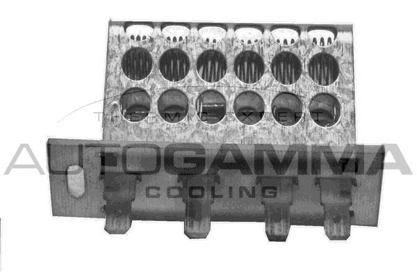 Varža, vidaus pūtiklis AUTOGAMMA GA15629