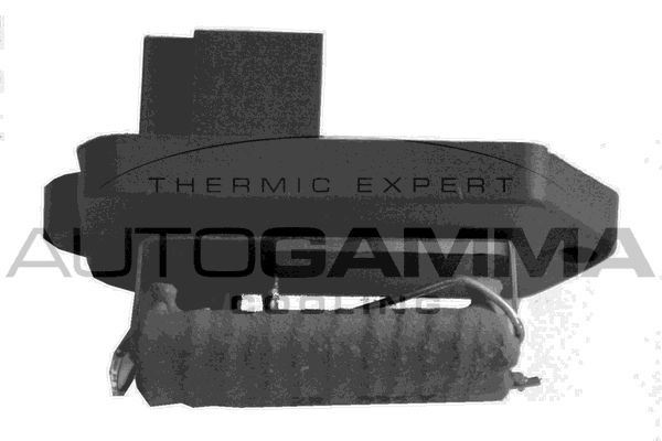 Varža, vidaus pūtiklis AUTOGAMMA GA15632