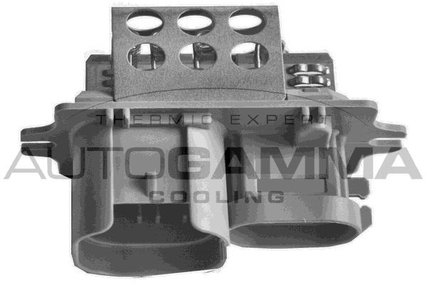 Varža, vidaus pūtiklis AUTOGAMMA GA15633