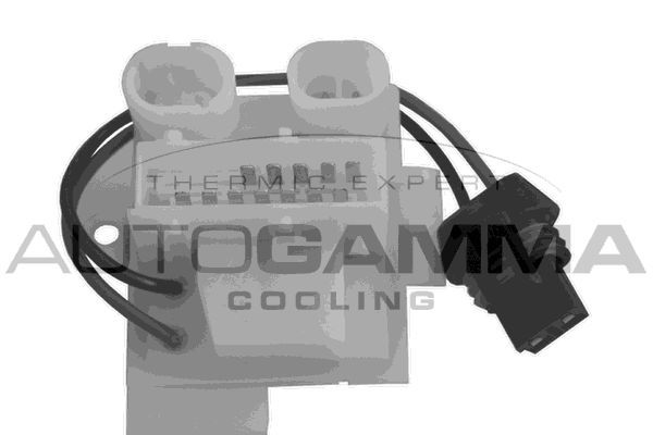 Varža, vidaus pūtiklis AUTOGAMMA GA15668