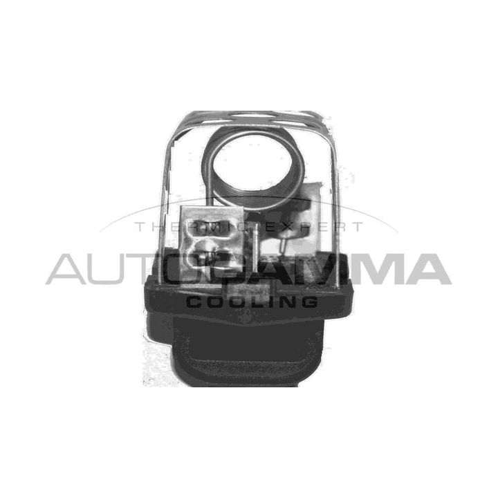 Varža, vidaus pūtiklis AUTOGAMMA GA15705