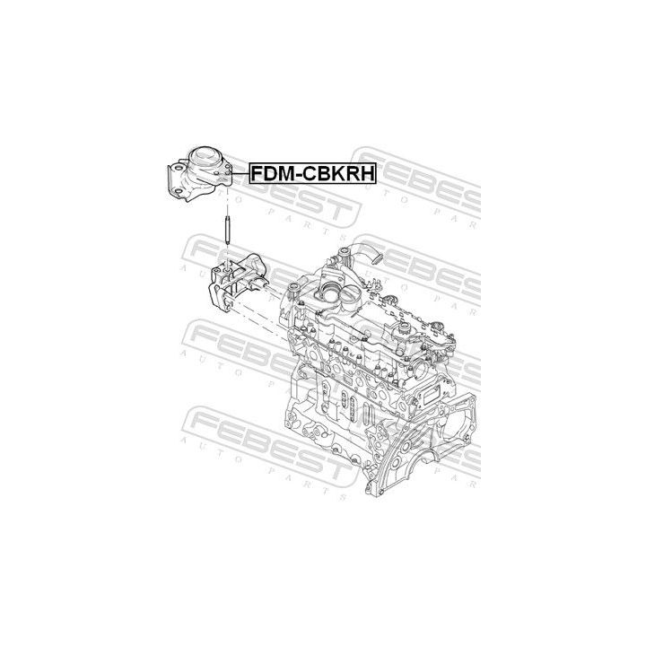 Variklio montavimas FEBEST FDM-CBKRH