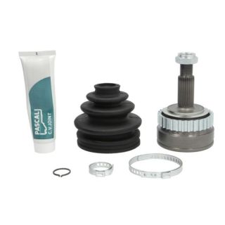 Jungčių komplektas, kardaninis velenas PASCAL G1R011PC