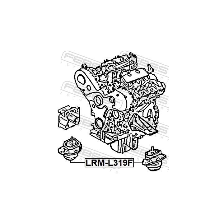 Variklio montavimas FEBEST LRM-L319F