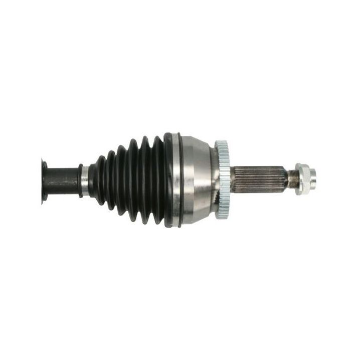 Pusašis PASCAL G20033PC