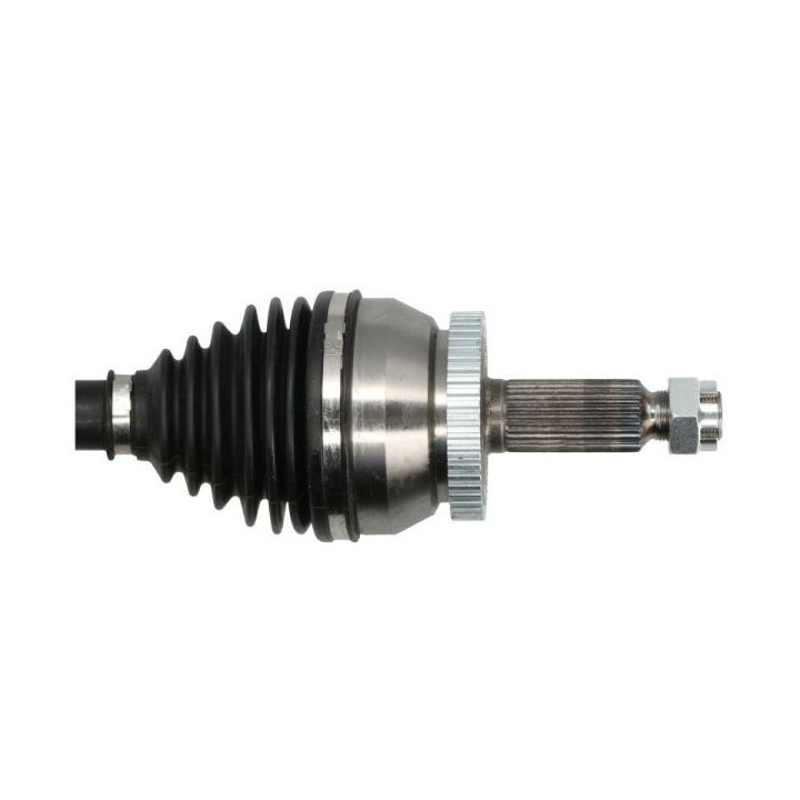 Pusašis PASCAL G20053PC