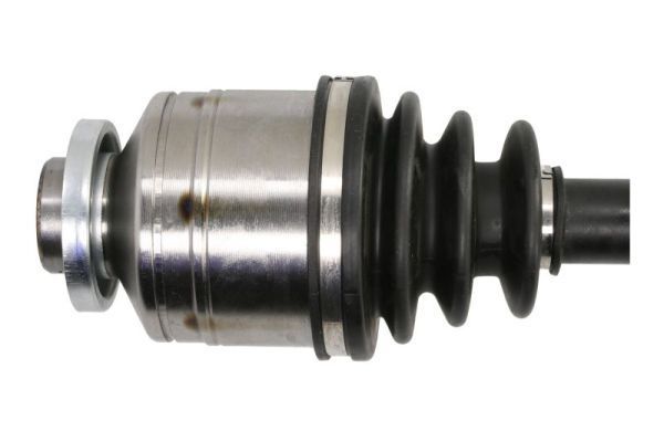 Pusašis PASCAL G20054PC