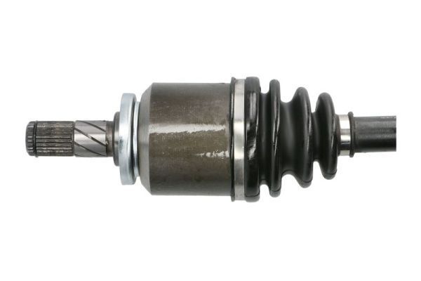 Pusašis PASCAL G21003PC