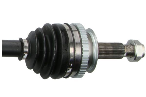 Pusašis PASCAL G21012PC