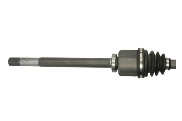 Pusašis PASCAL G21016PC