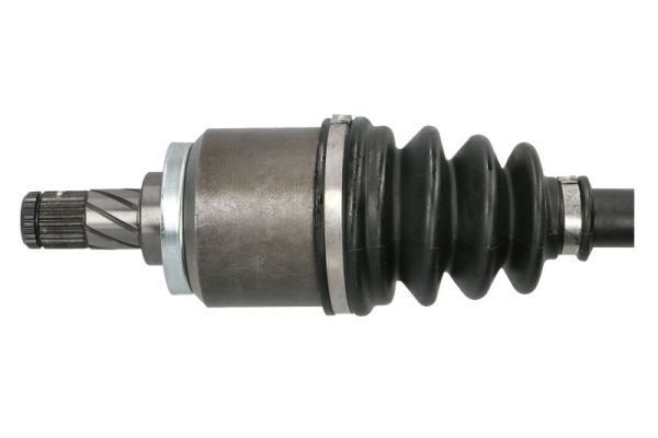 Pusašis PASCAL G21017PC