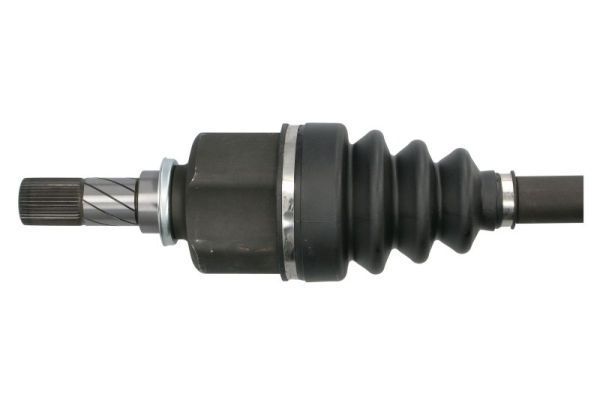 Pusašis PASCAL G21018PC