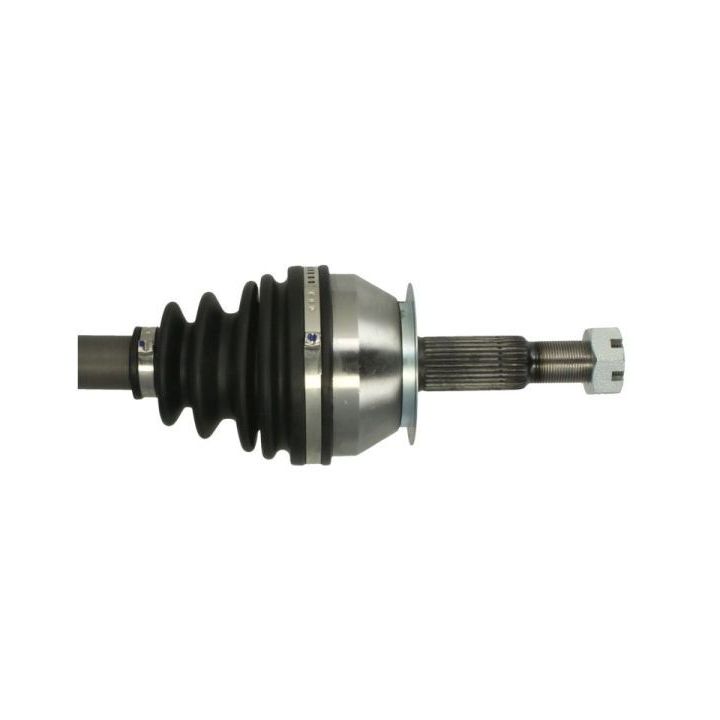 Pusašis PASCAL G21023PC