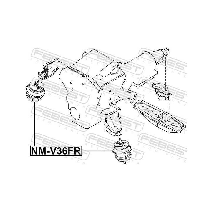 Variklio montavimas FEBEST NM-V36FR