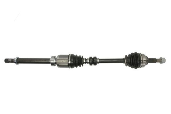 Pusašis PASCAL G21025PC