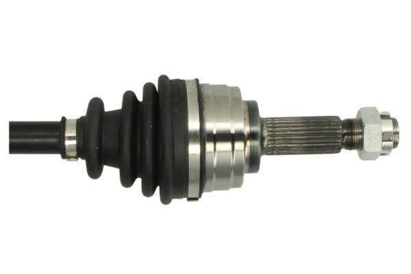 Pusašis PASCAL G21036PC