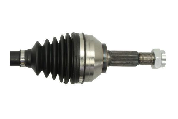 Pusašis PASCAL G21039PC