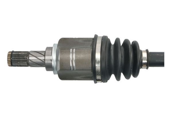 Pusašis PASCAL G21043PC