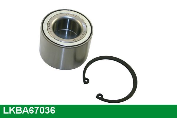 Rato guolio komplektas LUCAS LKBA67036