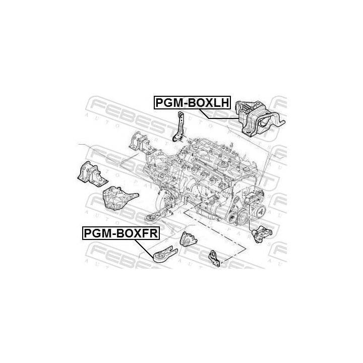 Variklio montavimas FEBEST PGM-BOXFR