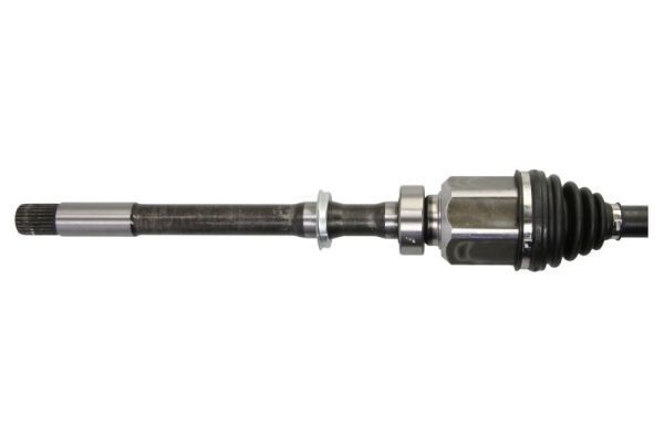 Pusašis PASCAL G22029PC