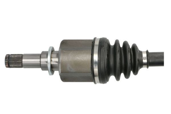 Pusašis PASCAL G23007PC