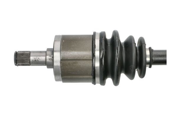 Pusašis PASCAL G24002PC