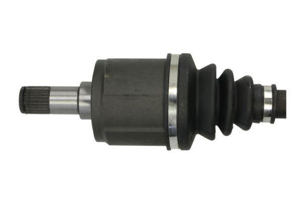 Pusašis PASCAL G24003PC