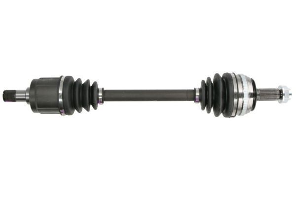 Pusašis PASCAL G24006PC