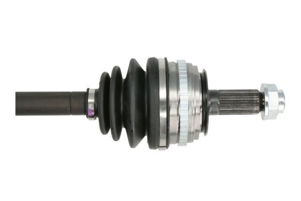 Pusašis PASCAL G24006PC