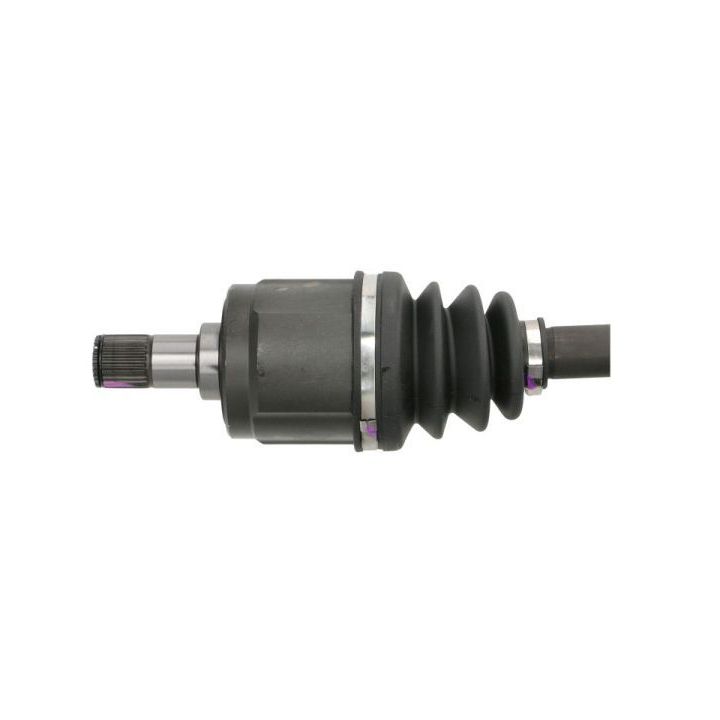 Pusašis PASCAL G24006PC