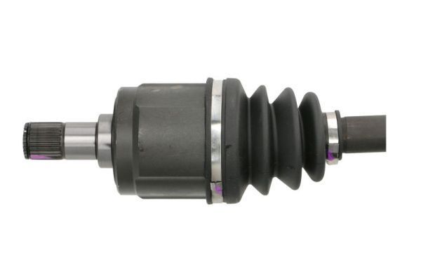 Pusašis PASCAL G24006PC