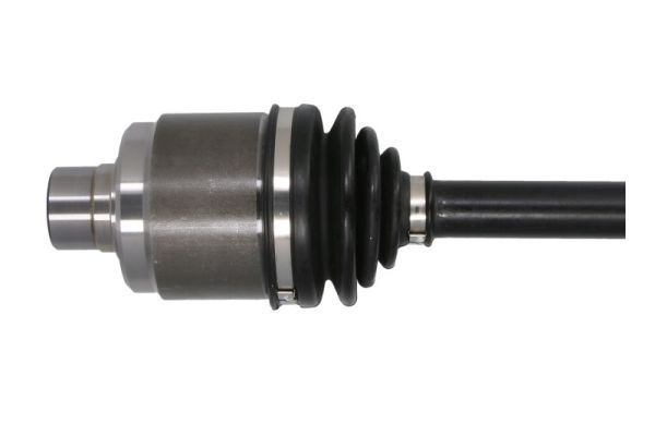 Pusašis PASCAL G24007PC