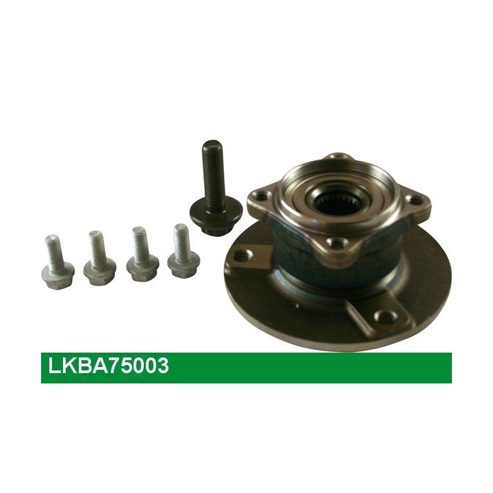 Rato guolio komplektas LUCAS LKBA75003