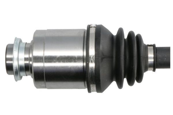 Pusašis PASCAL G24010PC
