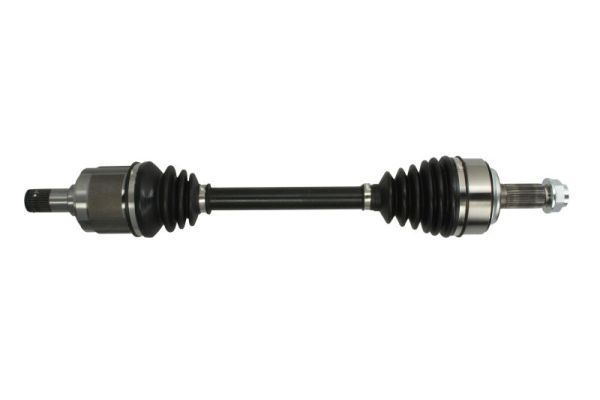 Pusašis PASCAL G24019PC