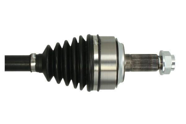 Pusašis PASCAL G24019PC