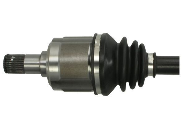 Pusašis PASCAL G24019PC
