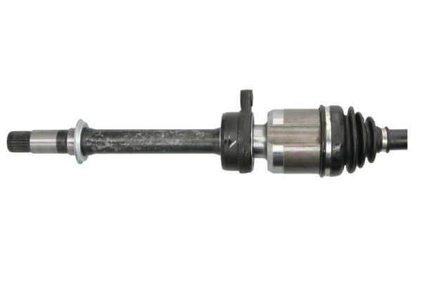 Pusašis PASCAL G25003PC
