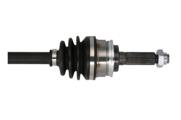 Pusašis PASCAL G28002PC