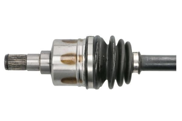 Pusašis PASCAL G28003PC