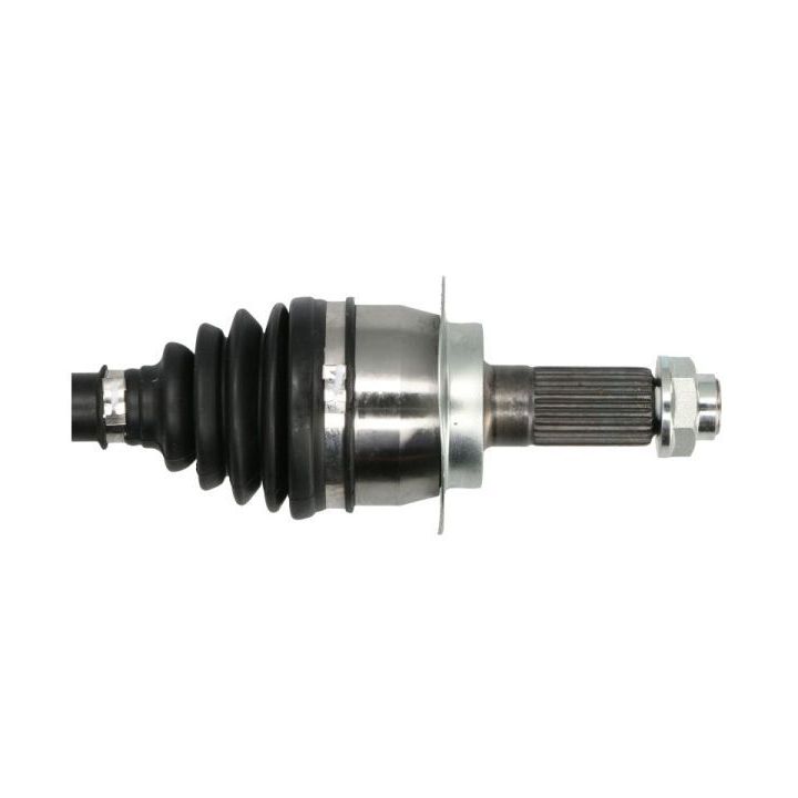 Pusašis PASCAL G28010PC