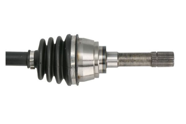 Pusašis PASCAL G28011PC