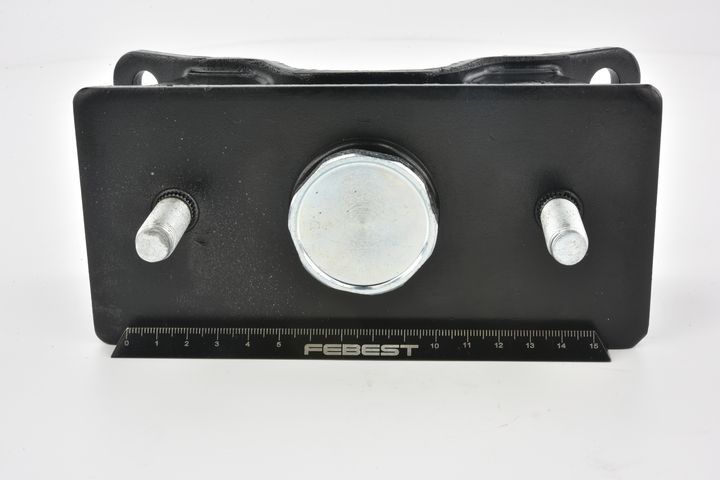 Variklio montavimas FEBEST TM-031