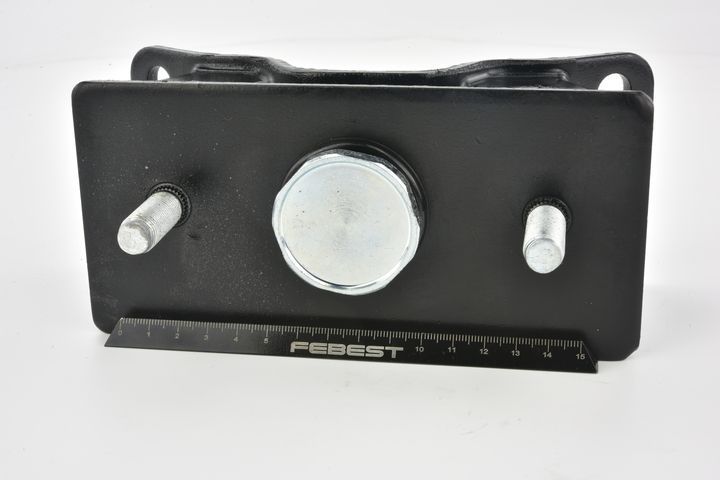 Variklio montavimas FEBEST TM-031