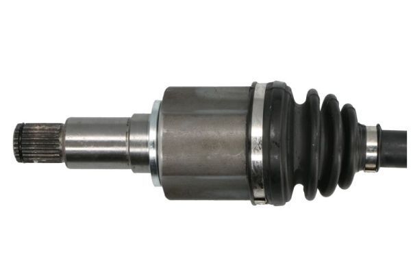 Pusašis PASCAL G28013PC