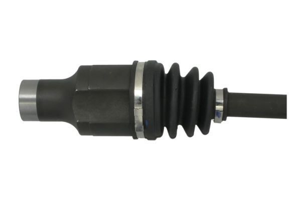 Pusašis PASCAL G28015PC