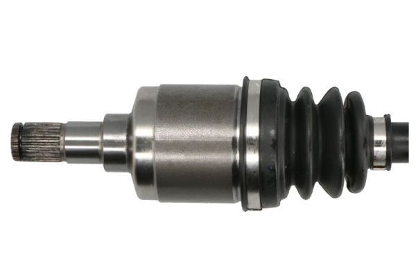 Pusašis PASCAL G28016PC